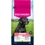 15kg Eukanuba Premium Nutrition Senior Large & Giant Breed aliment sec pour chiens au poulet