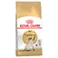 Siamese  Royal Canin Croquettes pour chat