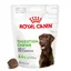 Royal Canin Adult Digestion Chews pour chien - 160 g