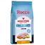 Croquettes Rocco Mealtime 12 kg + Calendrier de l'Avent Rocco offert ! - Junior poulet