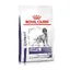 Royal Canin Expert Dental - Croquettes pour chien