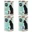 Cosma Soup 6 x 100 g pour chat - lot mixte II (4 saveurs)