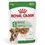 Mini Ageing Royal Canin - Nourriture pour chien