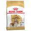 Cavalier King Charles Adult Royal Canin - Croquettes pour chien