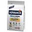 Mini Sensitive Advance - Croquettes pour chien