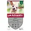 Pipettes Advantix® très petit chien jusqu'à 4 kg