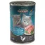 All Meat Kitten Leonardo - Nourriture pour Chat