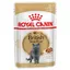 British Shorthair Royal Canin Breed - Sachets et Boîtes pour Chat