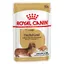 Sachets Royal Canin Teckel Adult