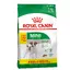 Mini Adult Royal Canin Size - Croquettes pour chien