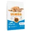 Adult Iams Poisson de mer/poulet Croquettes pour chat