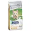 Bozita Kitten sans céréales pour chaton