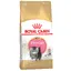 Kitten Persian Royal Canin Croquettes pour chaton