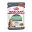 Digest Sensitive en sauce Royal Canin - Pâtée pour chat