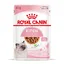Kitten Instinctive en sauce Royal Canin pour chaton