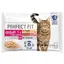 PERFECT FIT Adult 1+ Chats stérilisés bœuf, poulet, - Sachet pour chat