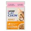 Cat Chow saumon - Pâtée pour chat