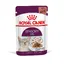 Sensory Feel en sauce Royal Canin - Pâtée pour chat