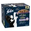 Felix Délices tranchés 24 x 80 g pour chat - sélection mixte (bœuf, poulet, saumon, thon)
