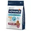 Advance Medium Senior pour chien - 2 x 3 kg