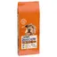 PURINA Dog Chow Senior, agneau - 14 kg