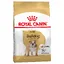 Bouledogue Adult Royal Canin - Croquettes pour Chien