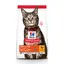 Hill's Adult au poulet pour chat 2 x 10 kg