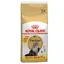Persian Adult Royal Canin Croquettes pour chat + 2 kg offerts !