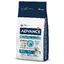 Maxi Adult Advance pour chien