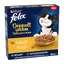2x800g Felix Délicieux duos poulet et dinde nourriture sèche pour chat