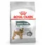 Mini Dental Care Royal Canin Croquettes pour petit chien