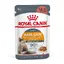 Intense Beauty en sauce Royal Canin - Pâtée pour chat