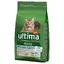 Ultima Adult saumon pour chat 