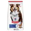 Mature Adult 7+ Medium agneau Croquettes Hill's Science Plan pour chien
