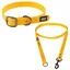 Laisse Rukka Biodipro, jaune taille M 180cm de long, 25mm de large chien