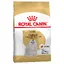 Royal Canin Bichon Maltais Adult pour chien - 3 x 1,5 kg