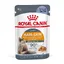 Intense Beauty en gelée Royal Canin - Pâtée pour chat