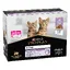 PURINA PRO PLAN Junior 10 x 85 g pour chaton - dinde