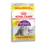 Regular Sensible 33 Royal Canin Croquettes pour chat + 2 kg offerts !