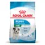 Mini Puppy Royal Canin  - Croquettes pour chien