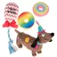 Jouet B'day Dog, pour chien