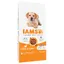 IAMS Puppy & Junior Large poulet - Croquettes pour chien
