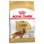 Cocker Adult Royal Canin Breed Croquettes pour chien