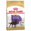 Labrador Retriever Adult Sterilised Royal Canin - Croquettes pour Chien