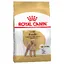 Caniche Adult Royal Canin - Croquettes pour chien