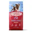 12 kg Carnilove Active Puppies Saumon et dinde croquettes pour chien