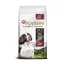 Adult Small & Medium Breed poulet, agneau Applaws pour chien