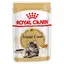Maine Coon Adult en sauce Royal Canin Breed - Sachet pour chat