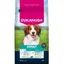 2x3kg Eukanuba Premium Nutrition Adult Small & Medium Breed agneau & riz nourriture sèche pour chiens