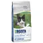 Outdoor & Active Bozita Feline - Croquettes pour Chat